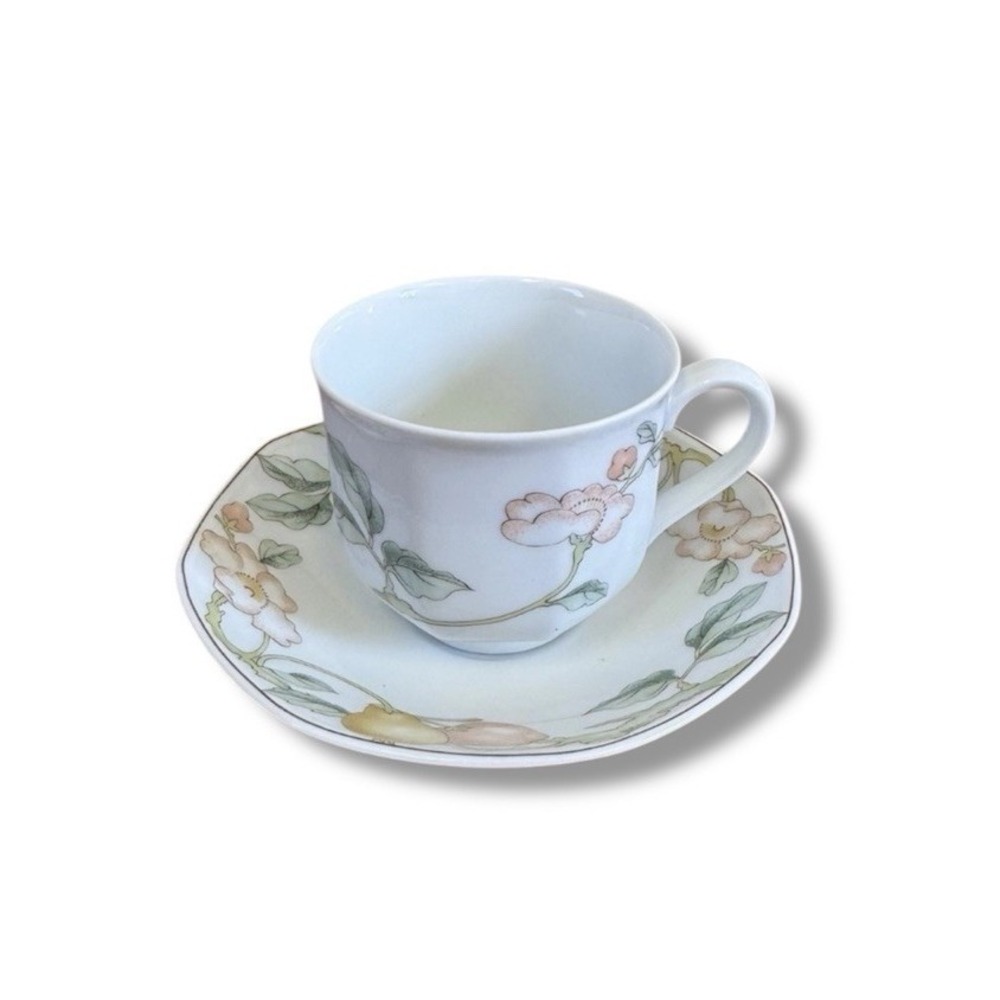 Heinrich Germany Villeroy & Boch Fruit Garden Cup & Saucer Cottagecore Regency